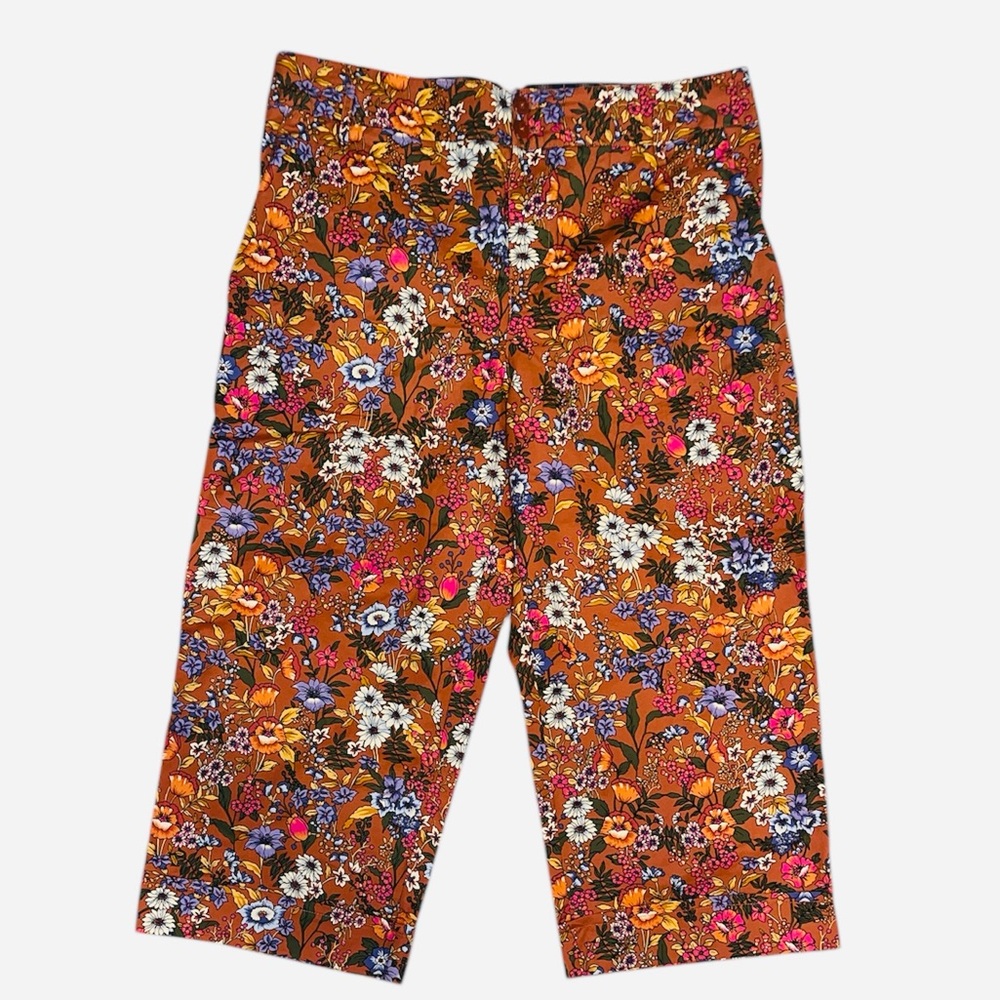 Maeve by Anthropologie Floral Cropped Pants | Size 20W Plus